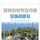 해운대달맞이카페 뷰맛집 모어라운지 방문후기