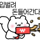 보노베리 이미지