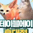 테이블에이 이미지