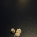 GS25호암진도점 | 제 60회 공인회계사 합격 수기 (세합5유동합)