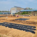 여가농장 이미지