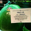 먹어봐유 이미지