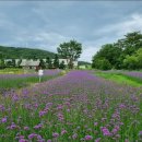 (주)운도 | 살죠?” 50대 중반 남성의 현실 고민｜전주 도점사주명리 상담 후기 (중년운·말년운·재물운·건강운)