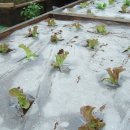 풀내음쉼터 이미지