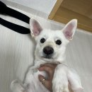 팔도강산노래방 이미지