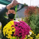 재부 농장 이미지