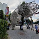 피자헛 광주충장로점 이미지