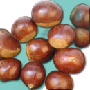 주식회사 팜2팜 이미지