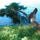 의림지-01 이미지