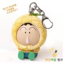 짱구과일