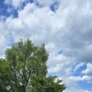 팔당물안개공원 이미지