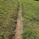 신기리 고분군 이미지