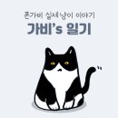 가비상자 이미지