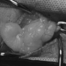 성복동물병원 이미지