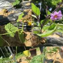 연준농장 이미지