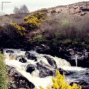 서울브라보치과의원 이미지