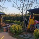 골약초교 이미지