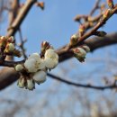 행복한하루 이미지