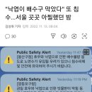 낙엽이 배수구 막아 서울 곳곳 침수 이미지