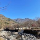 감삼태권도 이미지