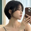 중앙미용실 | 광교중앙역미용실 추천 커트 여자머리 찐 후기