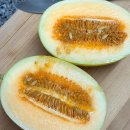 깜짝놀란맛, 중국 황제도 반했다는 과일의 정체? 한정선찹쌀떡 신메뉴 하미과멜론