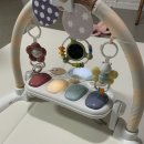 우주체육관 | 아기체육관 추천｜신생아부터 9개월까지 쓰는 하베브릭스 아기체육관 후기