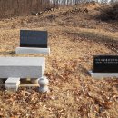 성원2태양광발전소 이미지