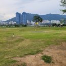 가곡파크골프장 이미지