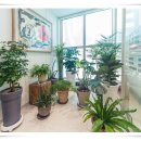 이메디치과의원 이미지