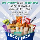 서울푸드유통