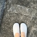조일슈즈 | [공지] 다이소 물놀이 필수템 실제 사용후기 내돈내산 아쿠아슈즈, 스노쿨링세트, 비치타월, 선스틱