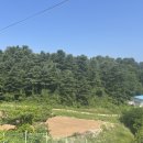뉴강남 | [뉴강남운전면허 수강 후기] 사전 준비물/수강료/학과교육/필기시험 꿀팁