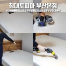 퍼펙트 가드 방역 | 부산 구서동 매트리스 청소 침대토피아 부산본점 킹침대 건식/습식 후기