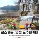 성지로스 이미지