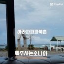 아라파파북촌 이미지