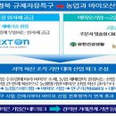 대마기획 이미지