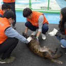 한국산업개발 이미지