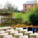 백조농장(1) 이미지