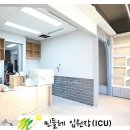 제천그레이스동물병원 네이버블로그