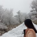 광철농장 네이버블로그