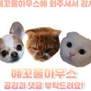 코스트코홀세일베이커리1 이미지