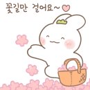 쑥골어린이도서관 이미지