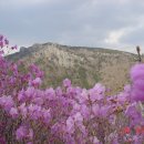 천냥당구장 이미지