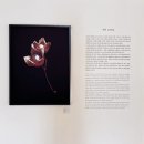 고은사진미술관 / 고은 깁슨 사진미술관📸🖼️