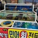 신안 자은도맛집)신안라마다 근처 맛집&#34;백길천사횟집&#34;내돈내산 솔직후기!