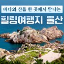 바다와산 이미지