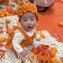 육아 힐링타임 홈플러스 문화센터 ‘아이좋아 콩콩콩’ 권현주 선생님 찐 후기