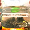 어답산 공중화장실 | 횡성 계곡 추천 취사 가능 병지방계곡