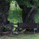 두량저수지 이미지